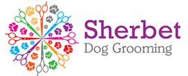 Dog grooming and home boarding in Middlesbrough